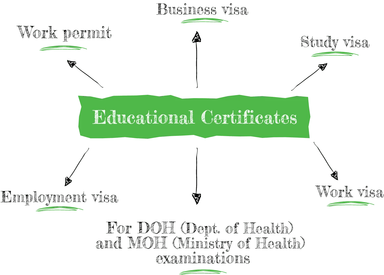 pie chart of Educational certificate attestation